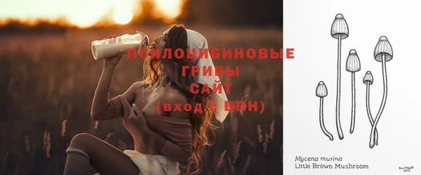 a pvp Мегион